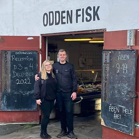 12237-1-sjaellands-odde-vestre-havnevej-24-1-sal *